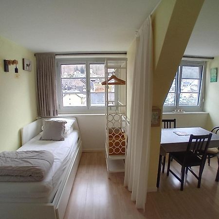 Chalet Bruyere كوتيريه المظهر الخارجي الصورة
